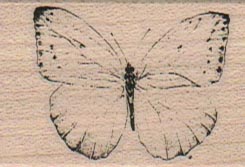 Butterfly Gossamer/Small 1 3/4 x 1 1/4