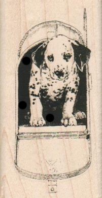 Dalmatian Dog Mailbox 1 3/4 x 3 1/4-0