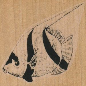Striped Fish 2 x 1 3/4-0