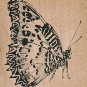 Butterfly Spot Side 3 x 3 1/4-0