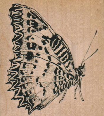 Butterfly Spot Side 3 x 3 1/4