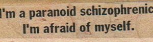 I'm A Paranoid Schizophrenic 3/4 x 2 1/4-0