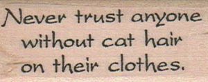 Never Trust Anyone/Cat 1 x 2 1/4-0