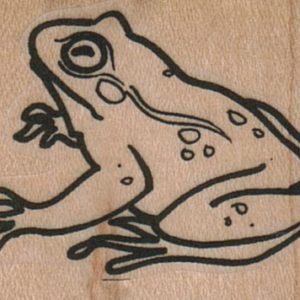 Frog Side 2 x 1 1/4-0