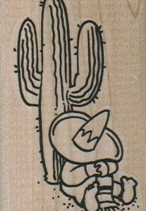 Cactus Siesta 1 1/2 x 2 1/2-0