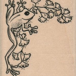 Frog On Vine 2 1/2 x 2 3/4-0