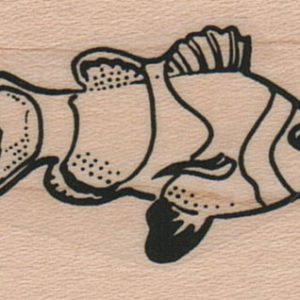 Clown Fish 1 1/4 x 1 1/2-0