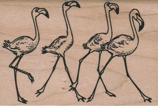 Flamingo Quartet Running 3 x 4 1/4