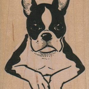 Boston Terrier Paws/Large 2 1/2 x 3 1/2-0