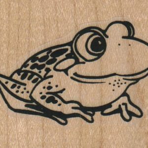 Smiling Frog Side 2 x 1 1/2-0
