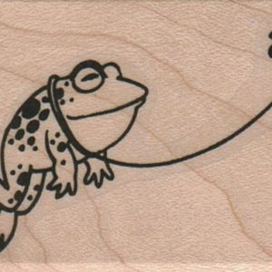 Fly Taking Frog For A Walk 1 1/2 x 2-0