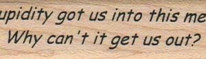 Stupidity Got Us Into This Mess-0