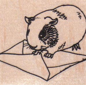 Guinea Pig Sealing Envelope 2 3/4 x 2-0