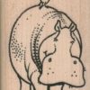 Hippo With Bird 1 1/2 x 2-0