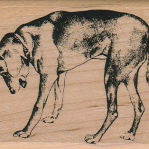 Dog Looking Down 2 1/4 x 3-0