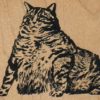 Fat Cat 2 1/2 x 2-0