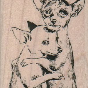Chihuahuas Comforting 2 1/4 x 2 3/4-0
