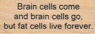 Brain Cells Come 1 x 2 1/4