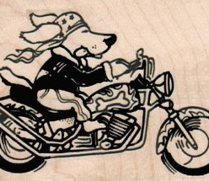 Easy DogRider 3 x 2-0