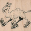 Camel in Sneakers 3 x 2 1/2-0