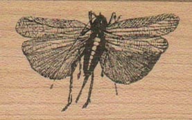 Winged Thingie/Small 1 1/4 x 2