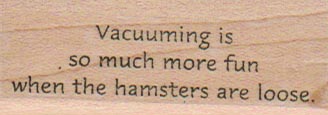 Vacuuming Is So Much More 1 x 2 1/4