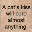 A Cat’s Kiss Will Cure 1 1/4 x 1 1/4