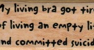 My Living Bra Got Tired 1 x 2-0