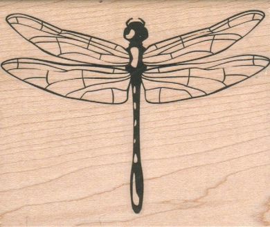 Dragonfly Large/Clear 3 x 3 1/2