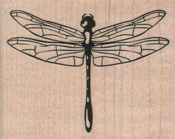 Dragonfly Medium/Clear 2 1/2 x 2