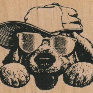 Dog Sunglasses 3 1/4 x 2 3/4-0