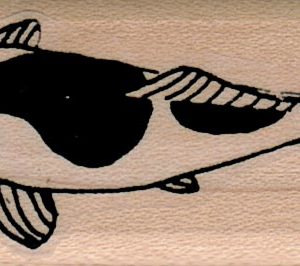 Koi Top/Sm 1 x 2 1/4-0