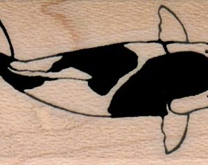 Koi Top Smaller 1 x 1 3/4-0