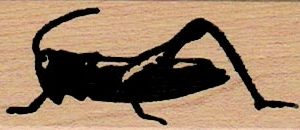 Grasshopper 1 x 2 1/4-0