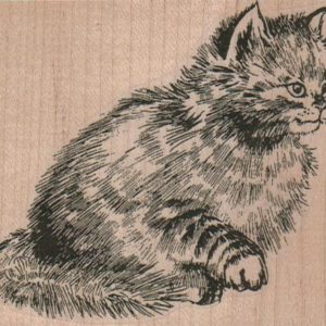 Cat With Raised Paw 3 1/2 x 3-0