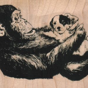 Monkey And Pup 3 3/4 x 2 3/4-0