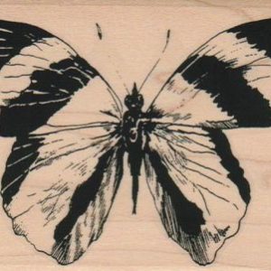 Butterfly Striped/Large 3 1/2 x 4 1/4-0