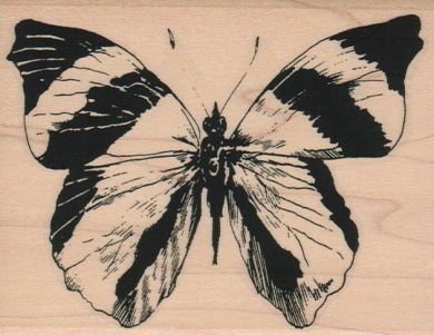 Butterfly Striped/Large 3 1/2 x 4 1/4