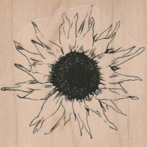 Sunflower Large 4 x 3 3/4-0