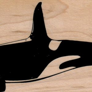 Small Orca 2 1/4 x 4 1/2-0