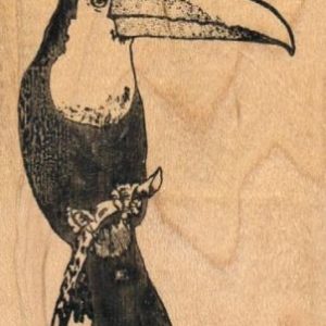 Toucan Small 2 x 2 1/2-0