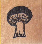 Mushroom 1 x 1