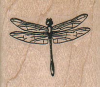 Dragonfly/Small/Clear 1 1/2 x 1 1/4