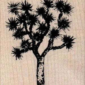 Joshua Tree 2 1/4 x 2 1/2-0