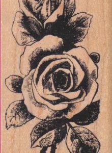 Double Roses 2 1/4 x 3 3/4-0