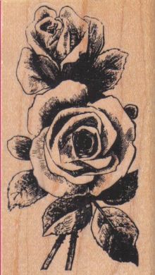 Double Roses 2 1/4 x 3 3/4