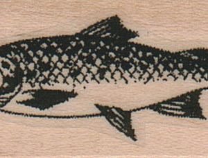 Cohoe Salmon 1 x 2-0