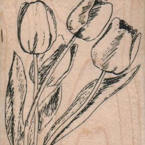 Four Tulips 3 1/4 x 3 3/4-0