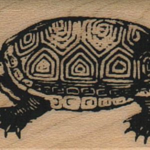 Turtle 1 1/4 x 2 1/4-0