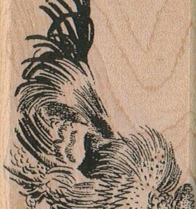 Rooster 2 x 3 1/4-0